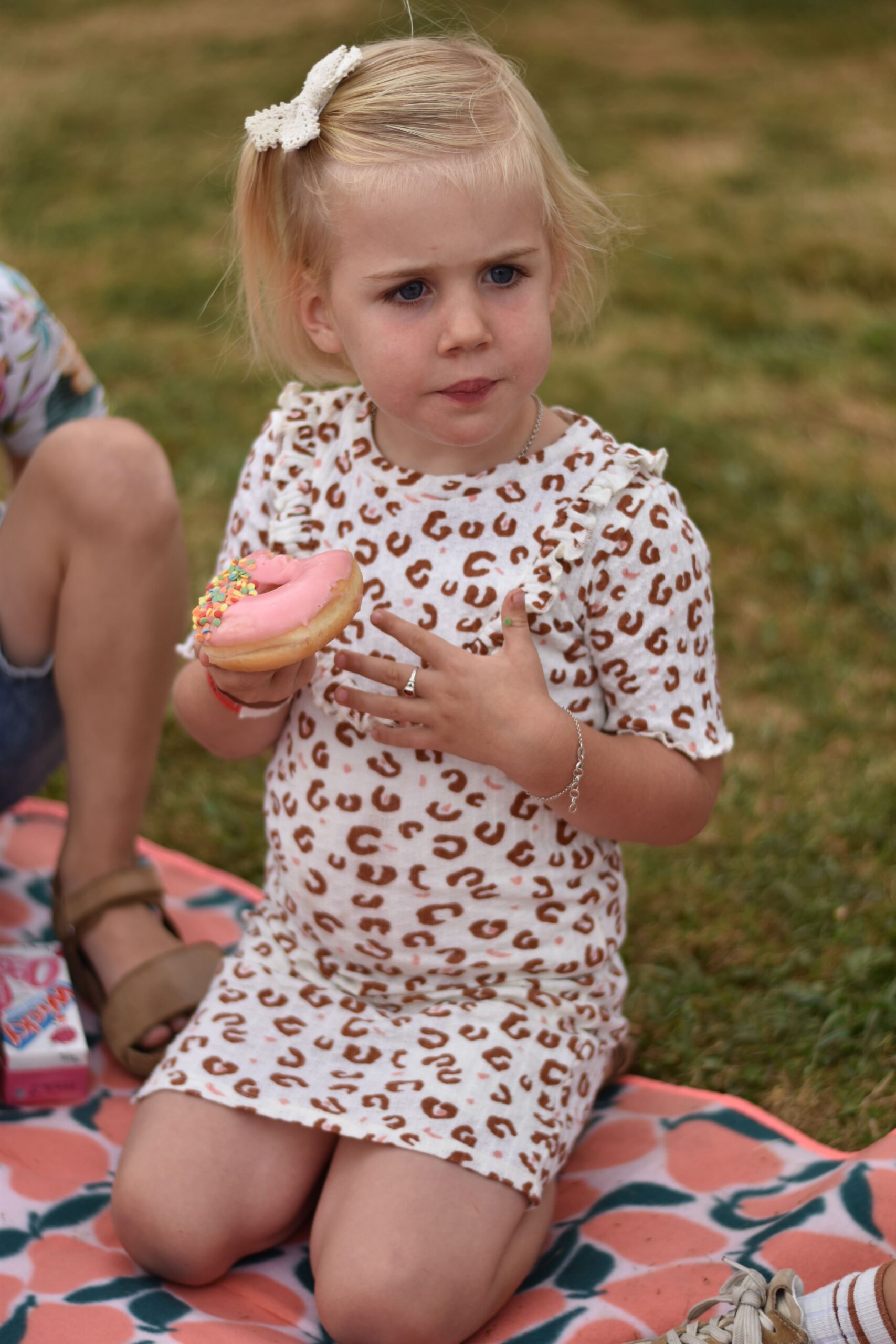 DSC_0484